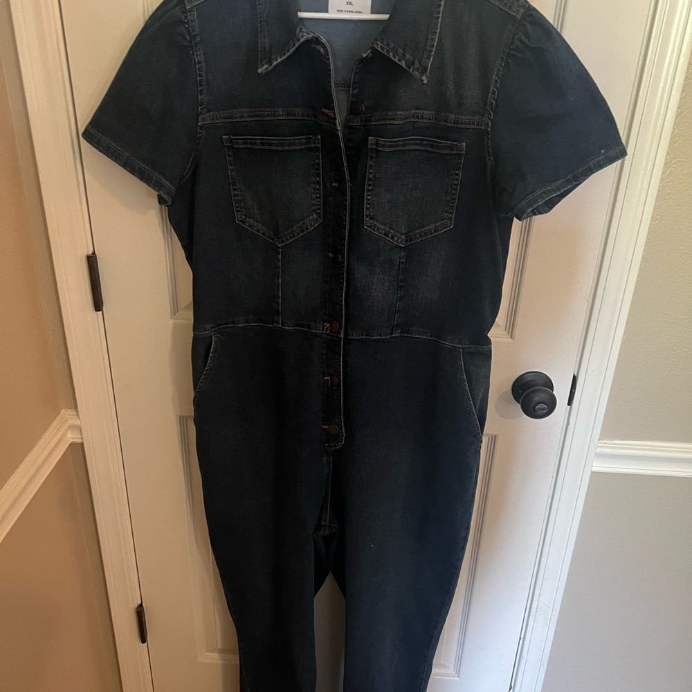 Celebrity Pink Blue Denim Overalls